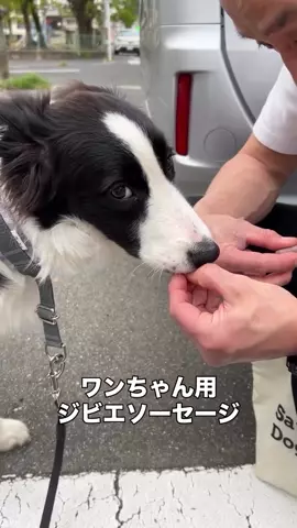 ワンちゃん用 鹿肉ジャーキー | .comm / ドットコミュ