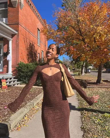 beginning boutique brown dress Viola Brown Long Sleeve Mini Dress - US 10