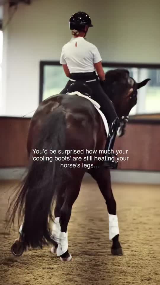 We did the testing so that you don’t have to, and

Polo bandages? 🔥 about 8 °C hotter.
Neoprene? still a sweaty 6 °C.
Even “cool” mesh and waffle boots climbed a couple of degrees.

The results we’re so wild we made it our own mission to be able to provide horse owners with boots that actually do as they say… 
Our TotalCool boots? Under 1 °C—and in 30 °C heat they actually helped legs stay cooler than going bare. ❄️

We set out to prove what we already believed: boots that protect and keep legs cool aren’t a myth. Now the data’s got our back.

#horserider #equestrianblog #dressage #dressagerider #horseowner #equestrian