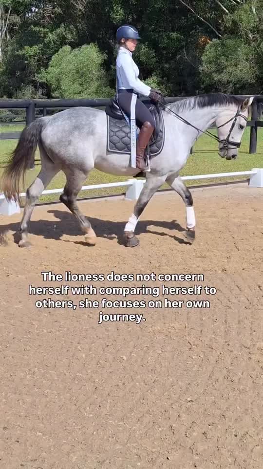 To every rider who’s ever felt “behind” this one’s for you. 🖤
The lioness rides her own journey.
Tag a rider who needs to hear it.

#horserider #equestrianlife #equestriansport #equestrianblog