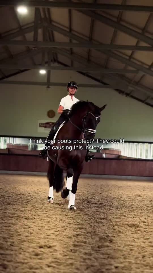 We put boots on to protect our horses’ legs…
but when heat builds inside, they can do the opposite.

❌ Tendon fibre breakdown
❌ Inflammation & swelling
❌ Higher risk of soft-tissue injury
❌ Slower post-ride recovery

Even a single ride can trap enough heat to damage delicate tendons.

That’s why we created the Equisk Cool Boots, boots that truly protect while keeping legs cool. 🐴❄️

👉 Available now FOR PRESALE – link in bio.