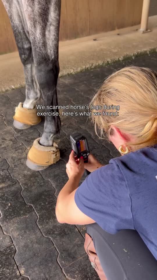 Most riders choose brushing boots to protect their horse’s legs.
But what if they’re also causing another problem? 🔥
We ran the tests… and the results were eye-opening.
Something new is coming. Follow to stay up to date. 
#horserider #equestrianblog #equestrian #horseowner #brushingboots #horseboots