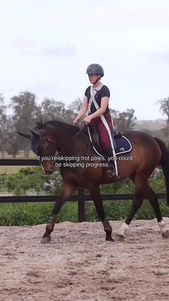 3 reasons you should stop sleeping on trot poles 👇

1️⃣ They build better rhythm and self-carriage.
If your horse tends to rush, fall behind the leg, or lose balance, trot poles quietly teach them to find their own tempo without you having to micromanage every stride.

2️⃣ They strengthen topline and engagement.
Each lift through the poles activates your horse’s core, back, and hind end, the exact muscles that make collection, transitions, and jumping easier (and prettier 😉).

3️⃣ They sharpen focus and footwork.
Your horse starts actually thinking about where they place their feet, meaning fewer chips, stumbles, and rails later.

No fancy exercises or expensive gear needed. Just poles on the ground and consistent, thoughtful riding (though wearing rider bands adds another level - stay tuned for more!)

Save this before your next ride… and bring trot poles back into your routine 🐴💪

Should we do a reel on setting up trot poles?

#horserider #dressage #equestrianblog #dressagerider #equestrianlife