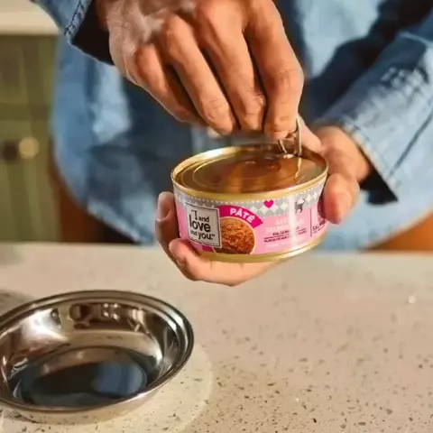 Savory Salmon Paté Canned Cat Food | I and love and you