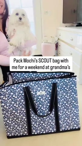 4 Boys Bag Extra Large Tote | SCOUT Bags