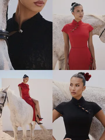 Nadia Mini Dress - Cap Sleeve Mandarin Collar Jacquard Fitted Dress in Red  with Red Trim | Showpo USA