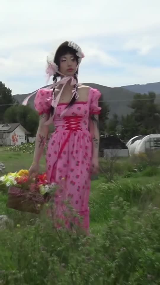 Dolls Kill x Strawberry Shortcake Ladybug Strawberry Print Corset