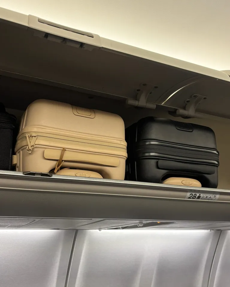 The Medium Check-In Luggage Cover in Maple